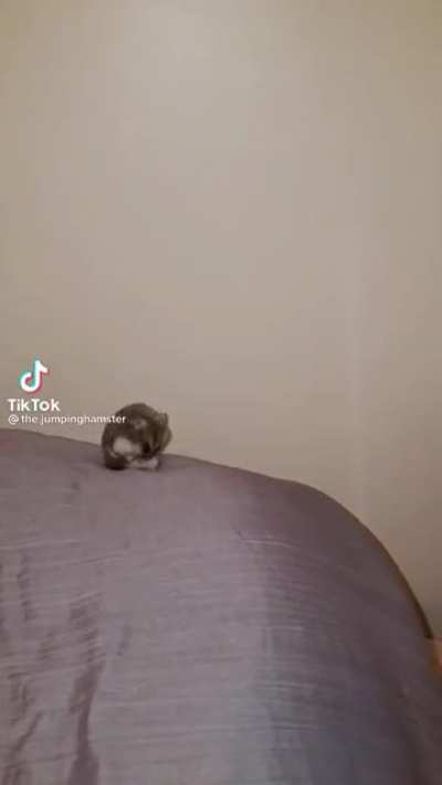 o.O