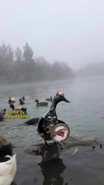 VIKINGS