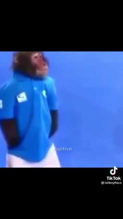 M O N K E Y S