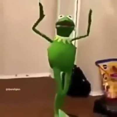 Sapo dan&ccedil;ando fds