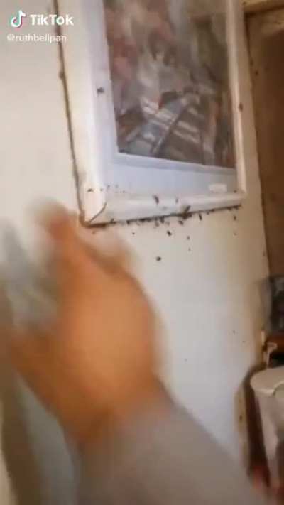 Cursed_Painting