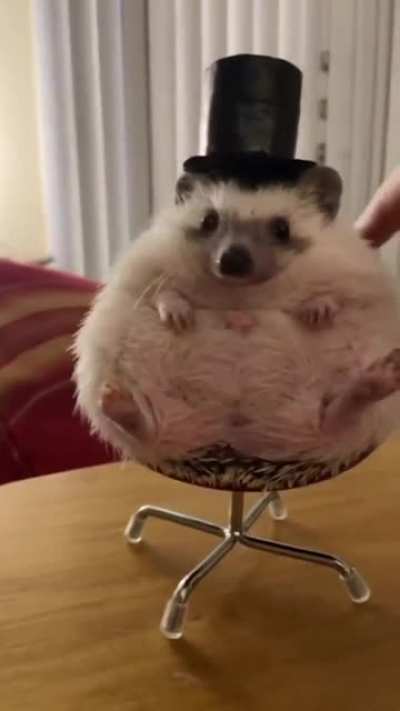 Maybe Maybe Maybe