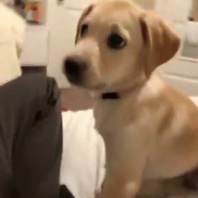 aww