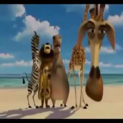 Madagascar 8
