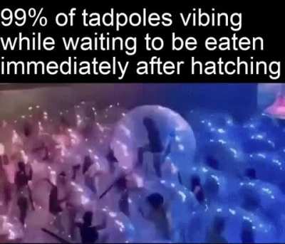 The do be tasty tho