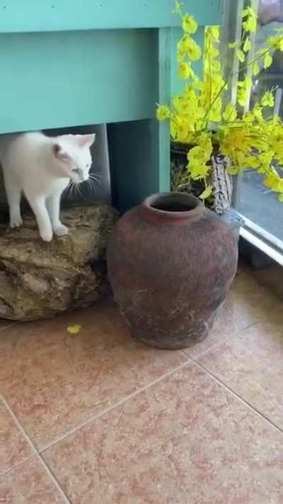 You can&rsquo;t get me