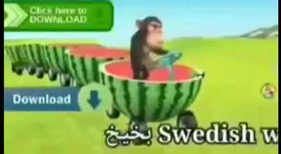 jajaja mono en una sandia