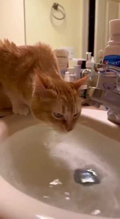 He aint drinking all that!