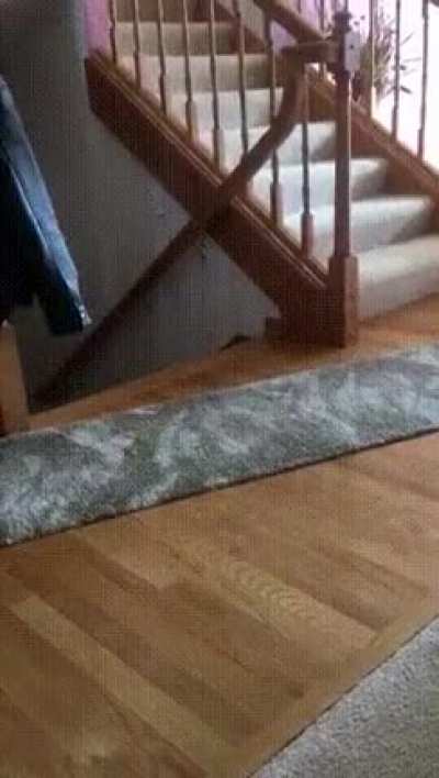 Surprise!