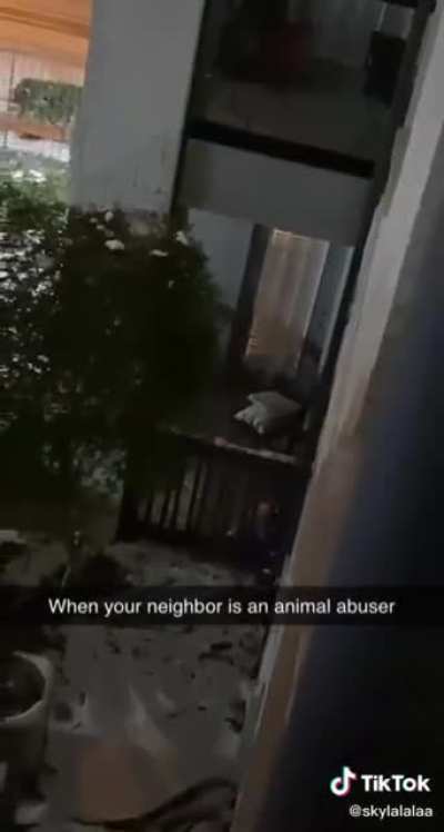 Bring your dog inside