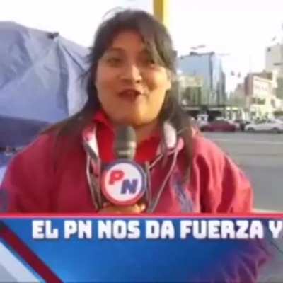 Vamos PN