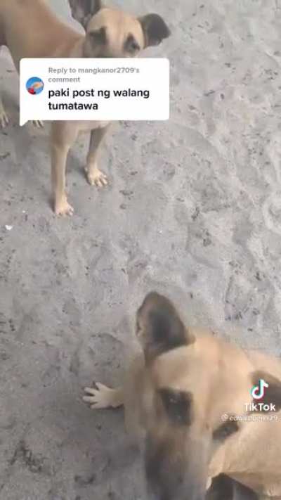 magkapatid.mp4