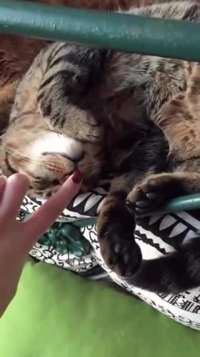 :)