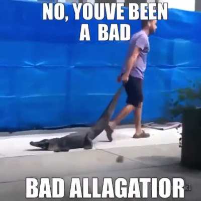 Bad &amp;gt;:(