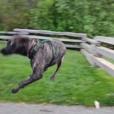 Atleast the landing was good