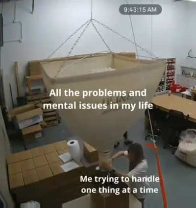 2meirl4meirl
