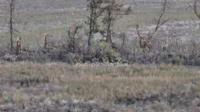 Ukrainian catches footage of Russian misfiring an RPG