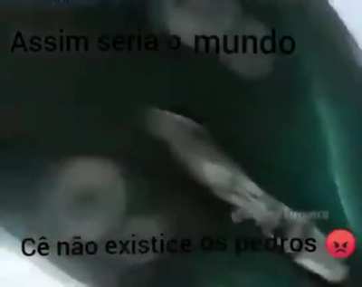 Pedros 😠