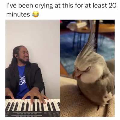 Me_irl