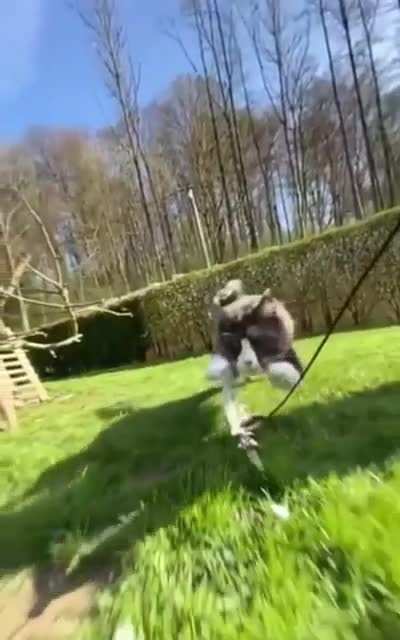This innovative use of a selfie stick