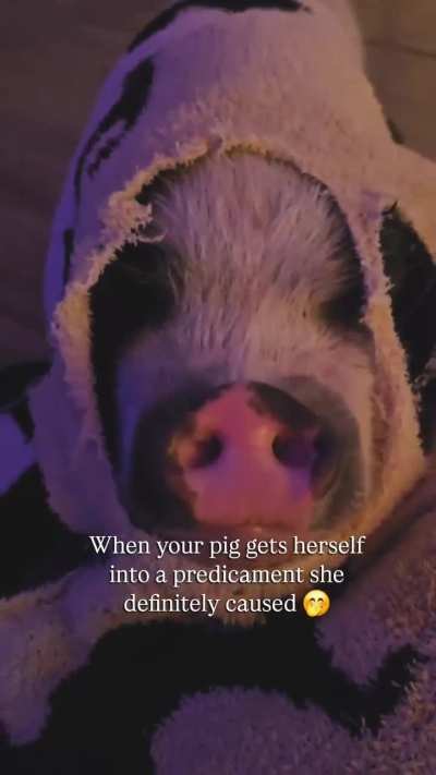"I seem to be in a predicament"