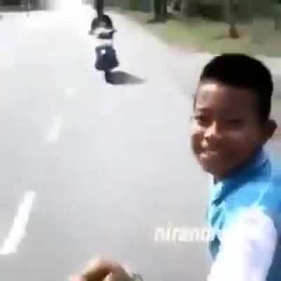 Ragdoll Kid