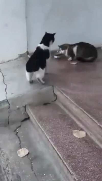 raaAAAAA-