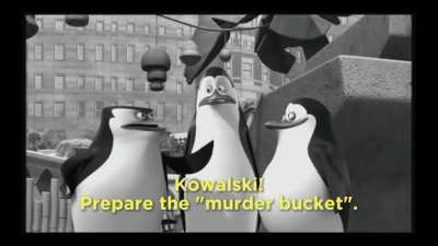 Posting SFW videos I found in NSFW Discord channels Day 63