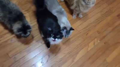 She demand the snacc