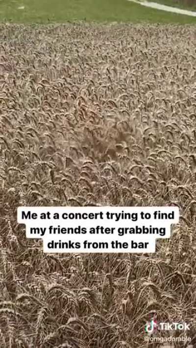 Relatable