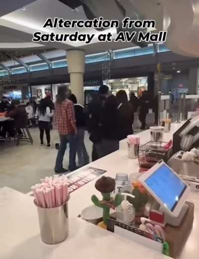 Fight at Antelope Valley (Palmdale) Mall