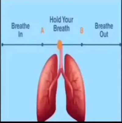 I noticed that Pewds love such type of videos