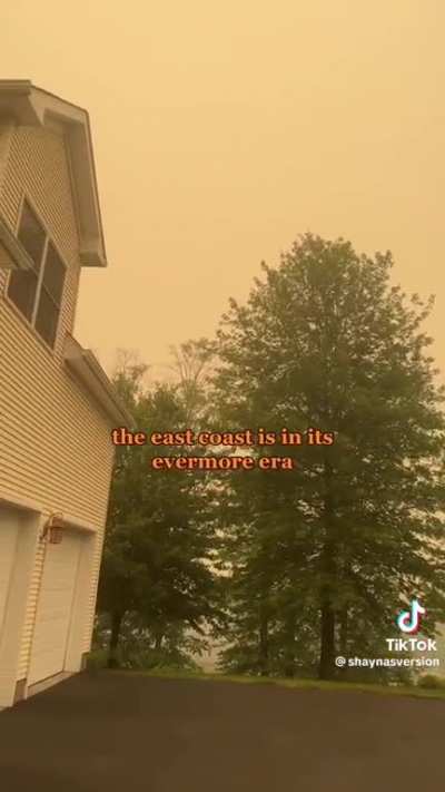 Evermore (Natural Disaster Remix) (Sad Summer Girl)