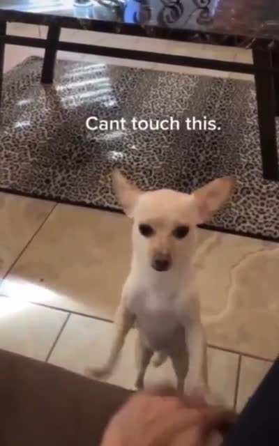 Can't touch this