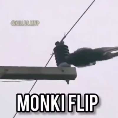 Monki flipn't