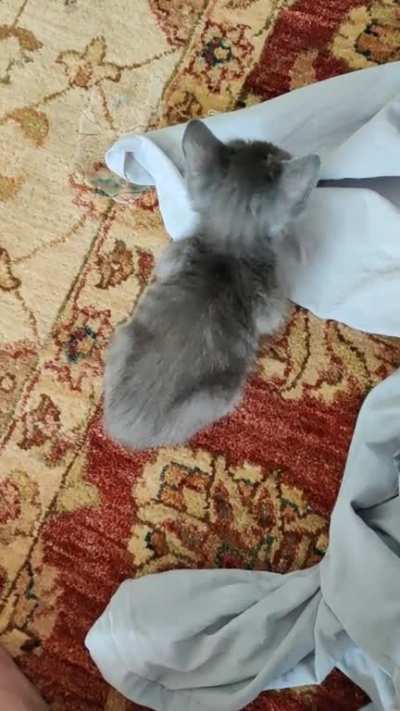 Baby butt wiggles