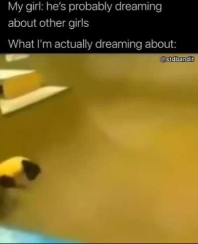monke skate (found on a NEAT meme comp)