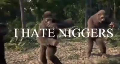 I&rsquo;ll just leave this here