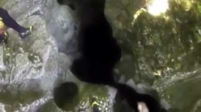Checking out the caves