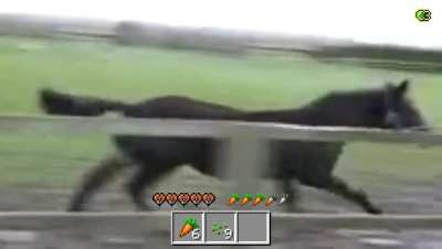 Hors