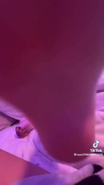 Sock Strip 01