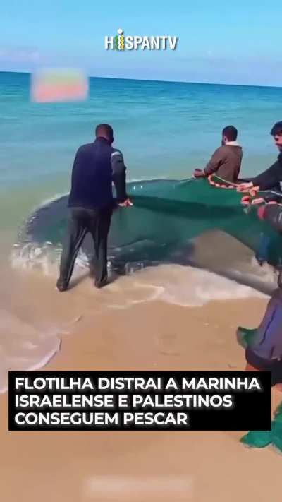 Contexto: israel impede os palestinos de pescar para se alimentar, mas isso n&atilde;o foi poss&iacute;vel por uns dias gra&ccedil;as a Flotilha. V&iacute;deo por @hispantv_brasil
