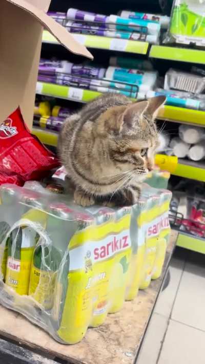 Quality control manager.