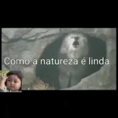 &Eacute; t&atilde;o linda