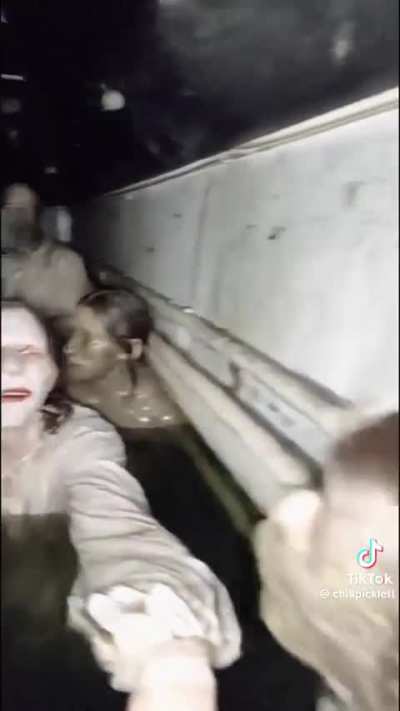 Moist