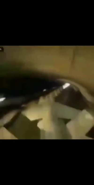 ㅤㅤㅤㅤ