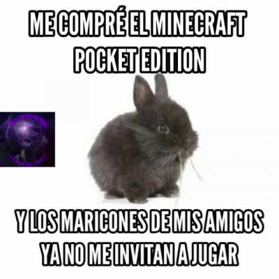Las 5 lucas peores invertidas wn:(