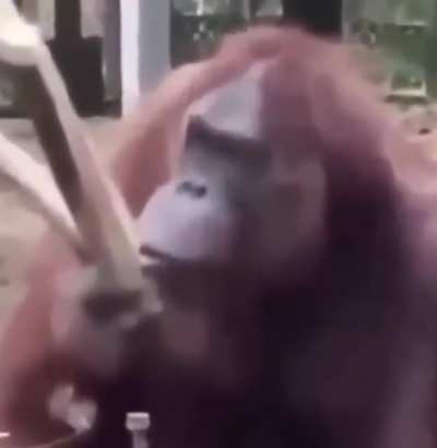 ¿?.