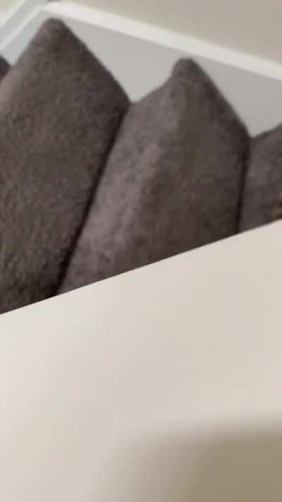 Broken kitty causes hooman to scream.