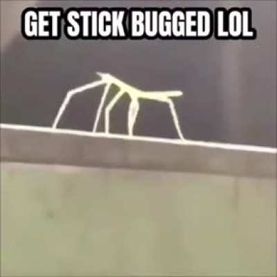 not a rick roll